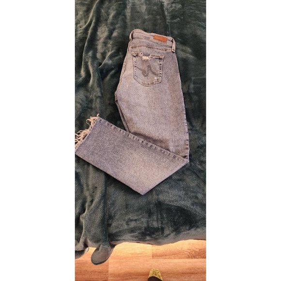 Adriano Goldschmied Mari Crop High-Rise Straight Jeans Size 28 NWOT - Picture 2 of 6